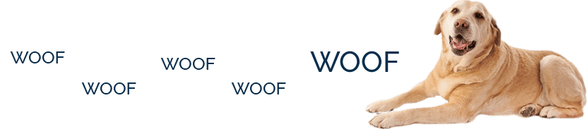 golden-retriver-laying-down-woof-woof-woof-woof Animal Hospital in Clifton Park