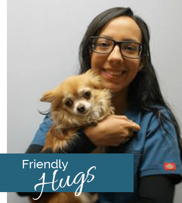 homeHugs Animal Hospital in Clifton Park