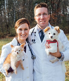 veterinary jobs in Clifton Park
