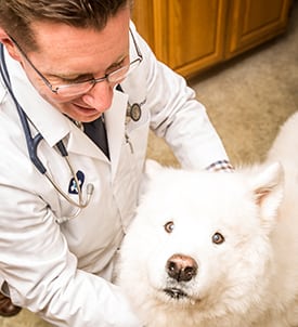 request-an-appointment