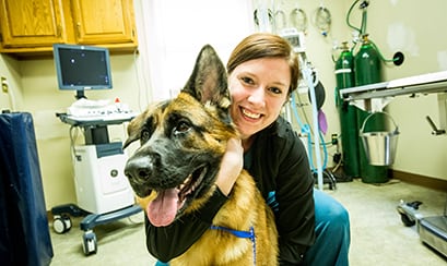 pet-laser-therapy-Clifton-Park