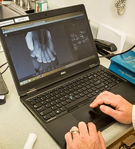 pet-ultrasound