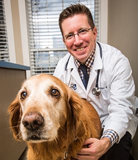 pet-wellness-care