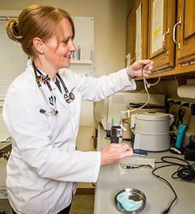 Pet Diagnostics in Clifton Park