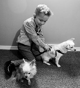 veterinary house calls in Clifton Park