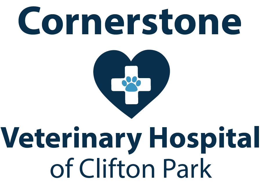 Veterinarian In Clifton Park Ny Animal Hospital In Clifton Park Ny