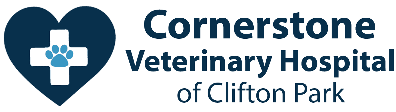 Cornerstone Veterinary Hospital of Clifton Park logo