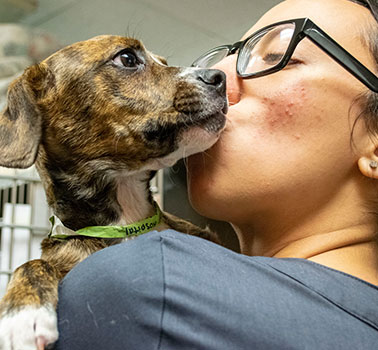 tech-kissing-puppy