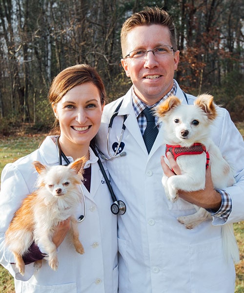 two-doctors-with-dogs