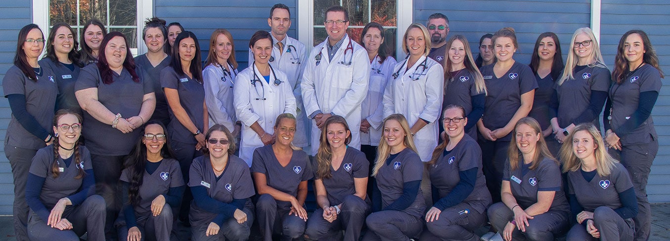 full-group-shot Veterinarians in Clifton Park, NY
