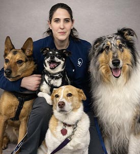 Stephanie posing for a picture with 4 dogs on grey background