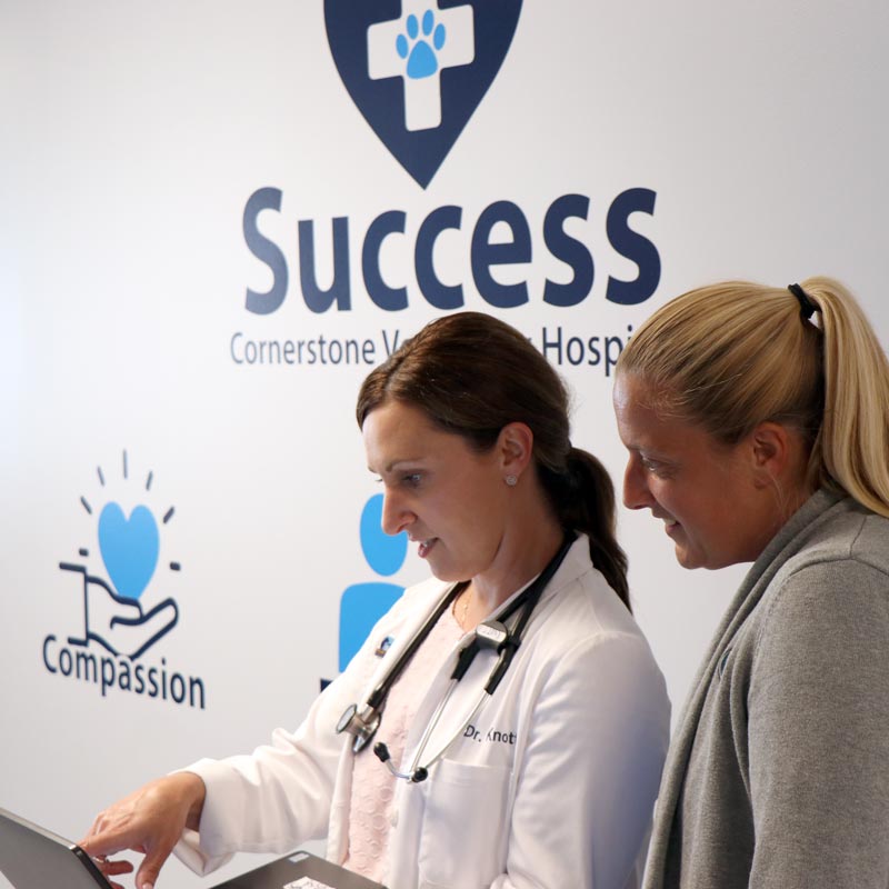 Doctor and patient in front of Success wall