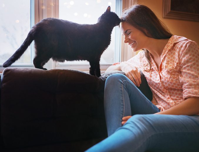Cat Behavior Why Your Cat Licks You Cornerstone Veterinary Hospital