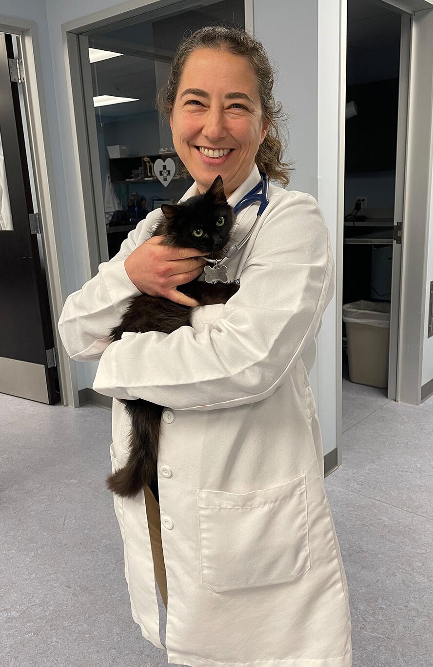 doctor-holding-black-kitten