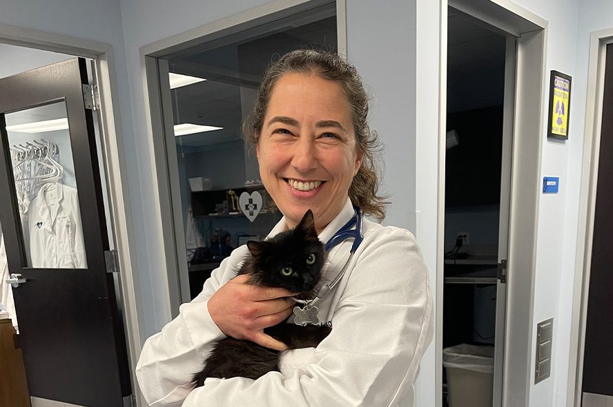 doctor-holding-tiny-black-kitten