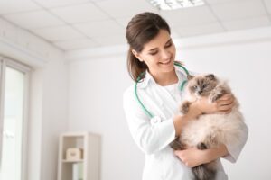 vet-holding-cat-in-clinic