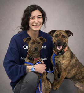 Melissa posing for a picture with two dogs on grey background