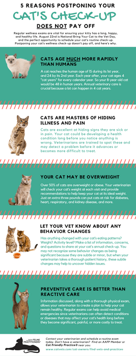 5 Reasons Postponing Your Cats Checkup Does Not Pay Off