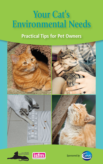 Your Cat's Environmental Needs