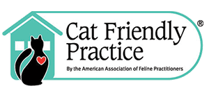 cat friendly practice
