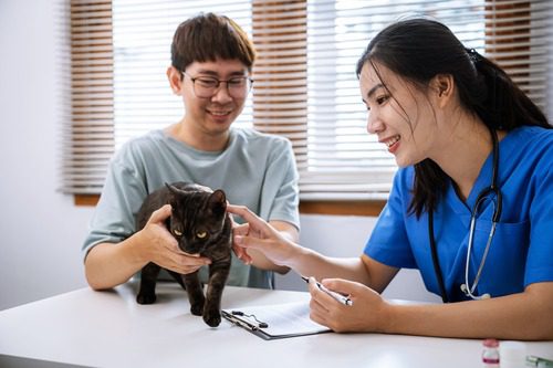 pet-owner-holding-his-cat-while-vet-examines-the-cat