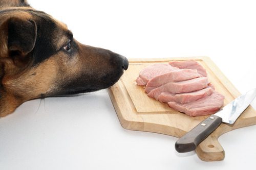 dog-sniffing-sliced-meat-on-cutting-board