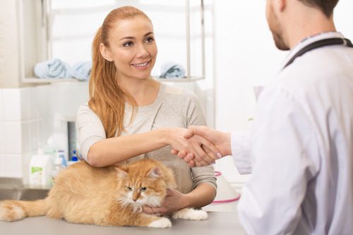 female-cat-owner-with-cat-at-clinic-talking-with-male-vet