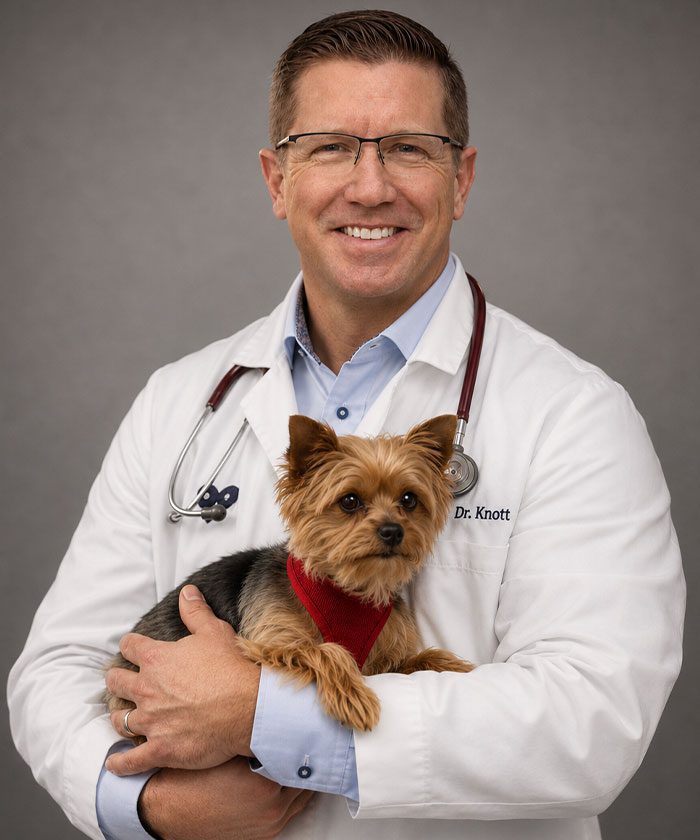 Dr. Alan Knott posing for a picture with a Yorkie on grey background