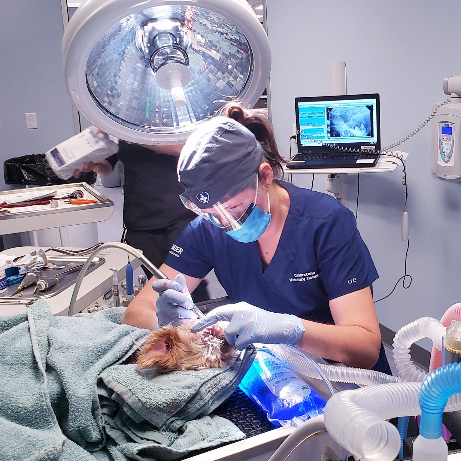 doctor doing dental procedure