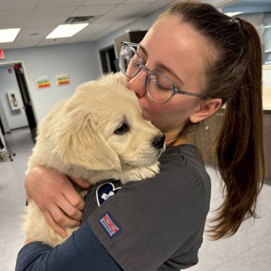 female staff member kissing and cuddling small golden retriever puppy