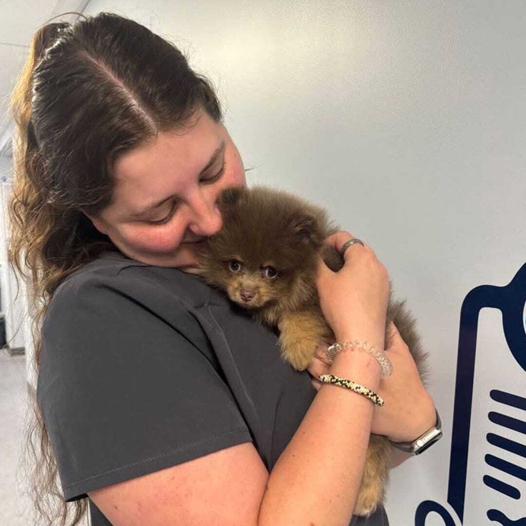 female staff member smiling while cuddling small fluffy brown dog